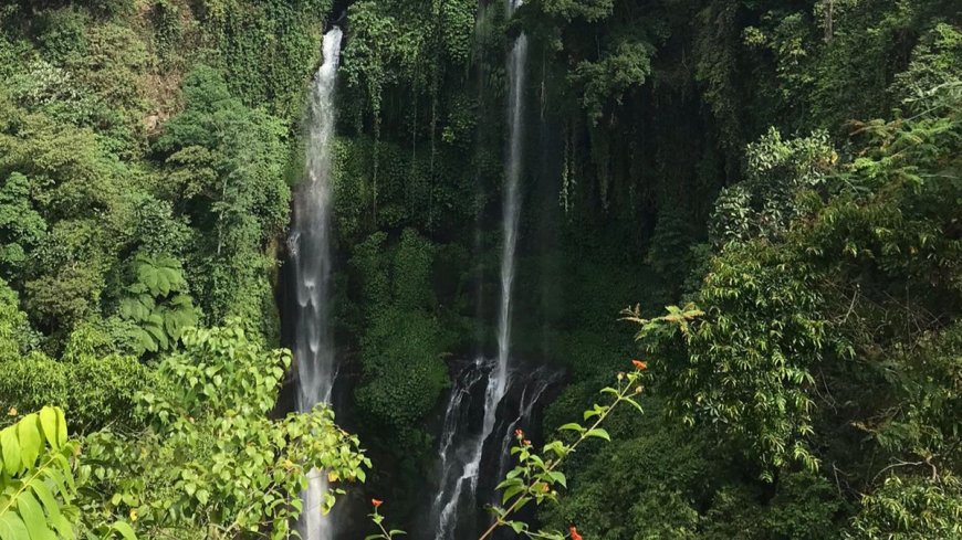 Eksplorasi Air Terjun Alam di Tengah Hutan Tropis yang Menyimpan Pesona Sunyi dan Keajaiban Alam